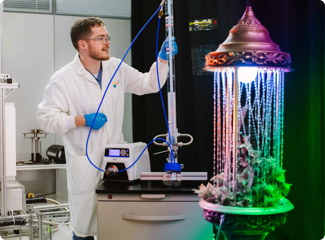 apply kaust