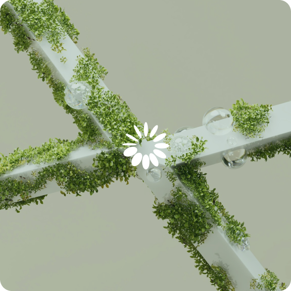 image-teamroberts-about